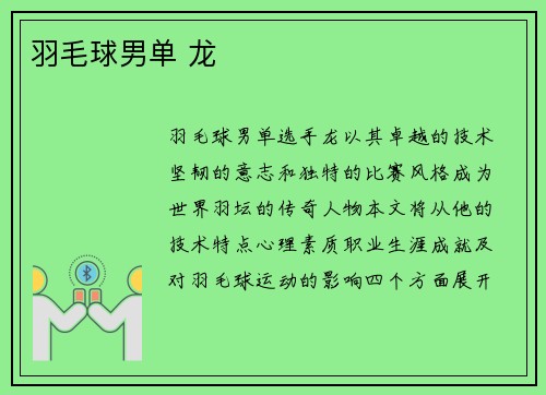 羽毛球男单 龙